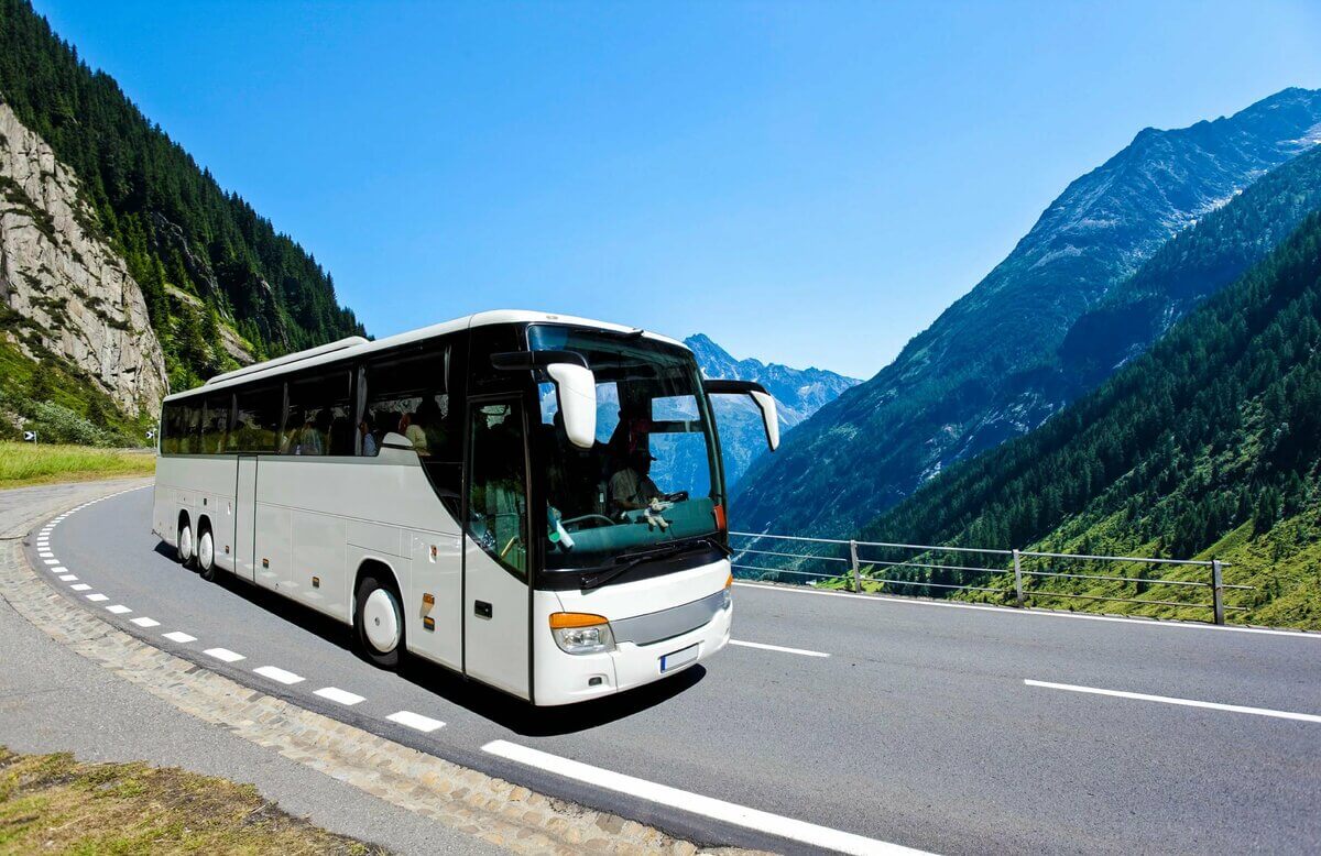 Bus tour